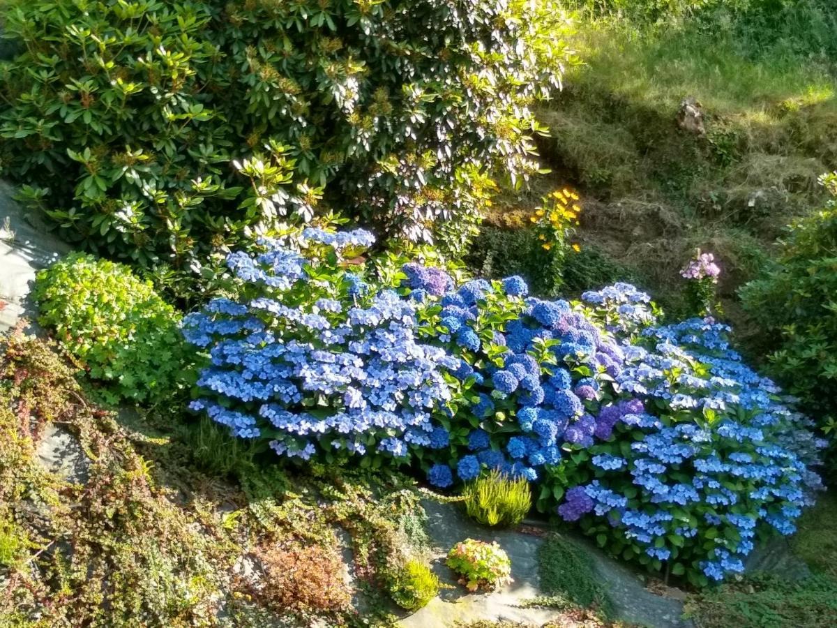Les Hortensias La Poultiere 外观 照片